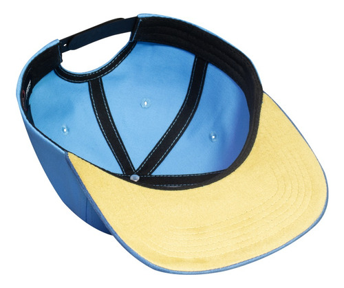 Paquete Gorra Lisa Azul/azul Roycaps 24 Piezas Snapback Azul Acero Ajustable