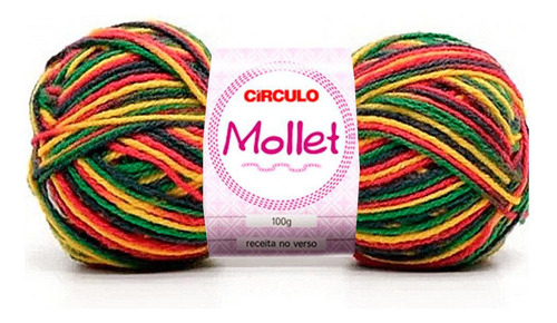 Lã Mollet Círculo Cor Mesclada 100g - 9294