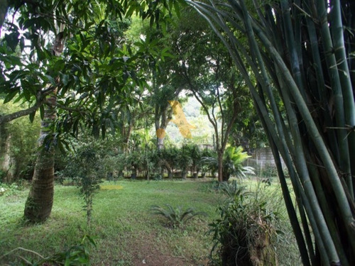 Imagem 10 de 17 de Terreno Em Vargem Grande - Est. Bandeirantes - Sqa0398j - 31971984