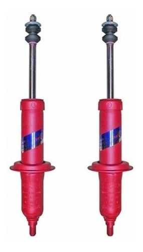 Imagen 1 de 7 de Kit X2 Amortiguador Delantero Fric Rot P/ Renault R12