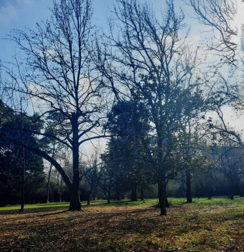 Imagen 7 de 8 de Terreno En Venta En Tortuguitas