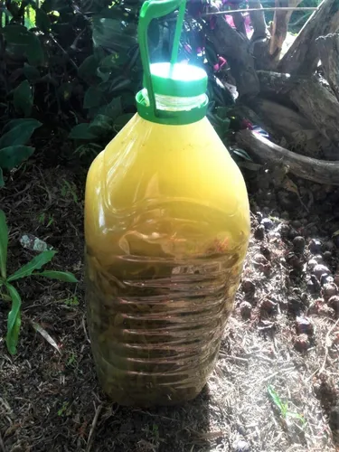 Purín De Cola De Caballo Vivero Orgánico Cielo Verde