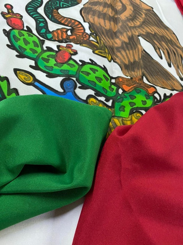 Imagen 5 de 6 de Bandera De Mexico Monumental De Intemperie 3x5