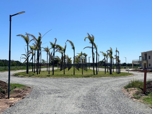 Terreno En Venta En Tristán Suárez