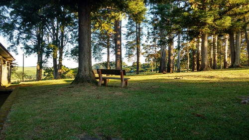 Imagem 2 de 5 de Fazenda Para Lavoura, Pecuária E Lazer, Em Gramado - Rs