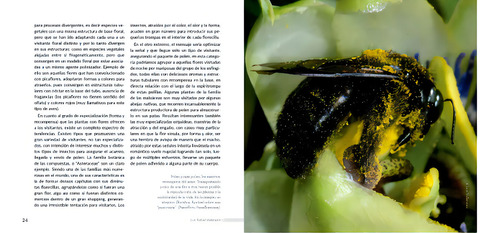 Invencion Del Sexo Y La Evolucion De La Vida, De Volkmann Luis Rafael., Vol. Unico. Editorial Ecoval, Tapa Blanda, Edición Primera En Español, 2023