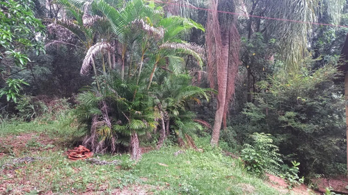Imagem 5 de 8 de Área À Venda Em Vila Gallo - Ar002193