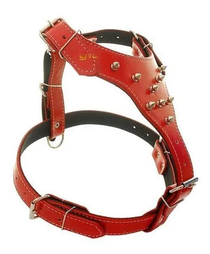 Canac 2025 dog collar