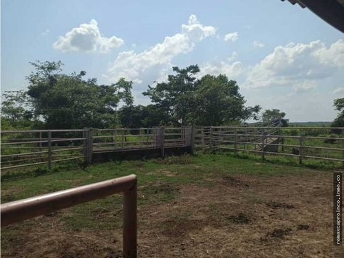 Imagen 10 de 14 de Productiva Finca En Elorza Apure, Acepta Criptomoneda
