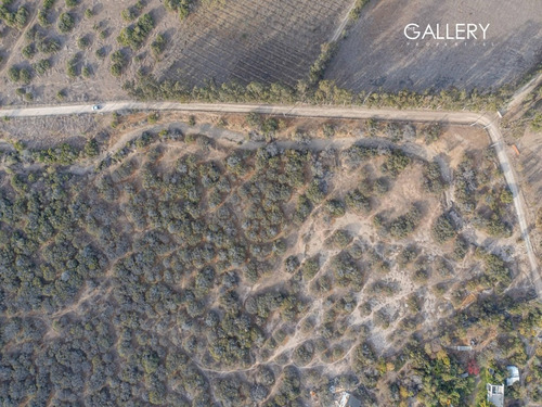 Terreno En Catapilco, Camino Ex La Hacienda