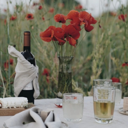 Set 6 Vasos Libelula 280ml