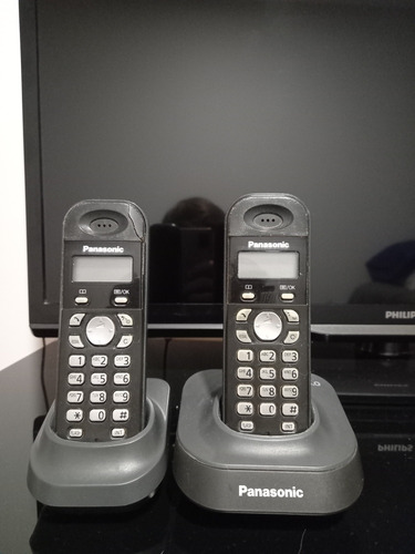 Teléfonos Inalámbricos Panasonic Kx-tg1311-ag Dúo