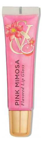 Brillo de labios Pink Mimosa Victoria Secret's Bright Finish Color Light Pink