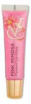 Comprar Brillo de labios Pink Mimosa Victoria Secret's Bright Finish Color Light Pink