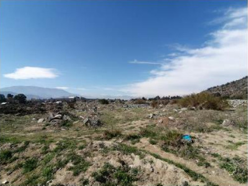 Agrícola En Venta En Mostazal