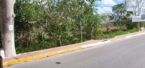 Imagen 4 de 4 de Terreno De 2150 M2 En La Entrada De Izamal