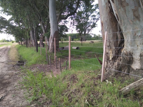 Imagen 2 de 12 de Venta - Chacra Campo Chico - Quinta