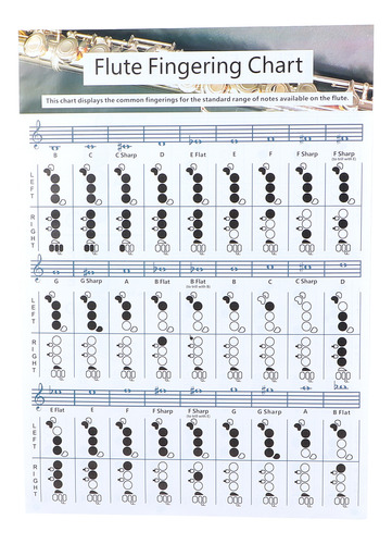 Tabla De Práctica De Digitación De Flauta (56 X 40 Cm), Acor