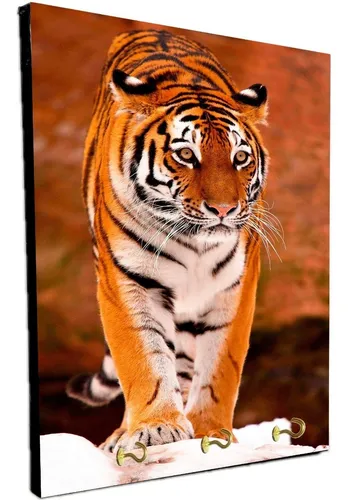 Porta Llaves De Pared Tigres Varios Modelos 15x20cm (22)
