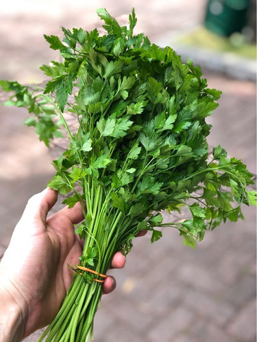 Sementes De Cerefólio