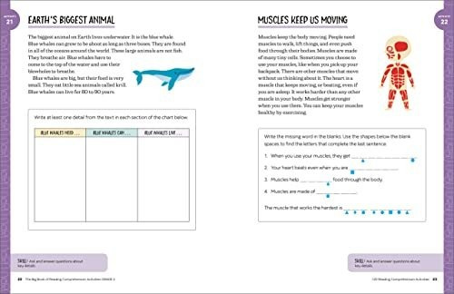 Book : The Big Book Of Reading Comprehension Activities, _y