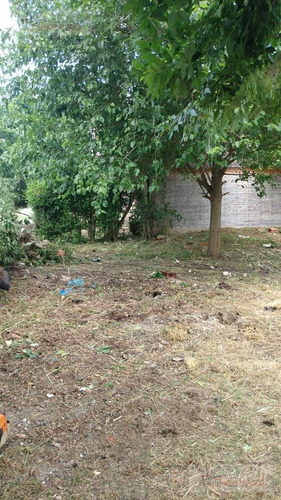 Imagen 3 de 5 de Terreno En Venta- Villa Parque Sicardi
