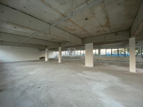 Imagem 11 de 15 de Predio Comercial - Vila Guiomar - Ref: 3259 - L-3259