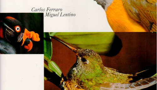 Libro Vogelparadies Venezuela (alemán) Pájaros En Venezuela