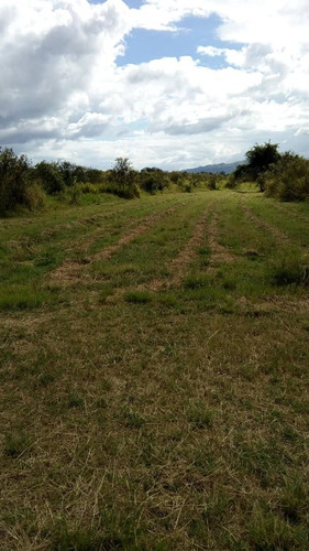 Imagen 2 de 5 de Terreno, En Venta Cod 415365 Liseth Varela 04144183728