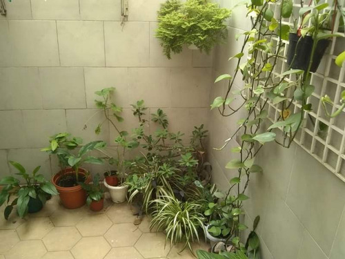 Imagen 16 de 17 de Cnel Olmedo 100 P.b. 1 Dor 2 Patios Y Cochera