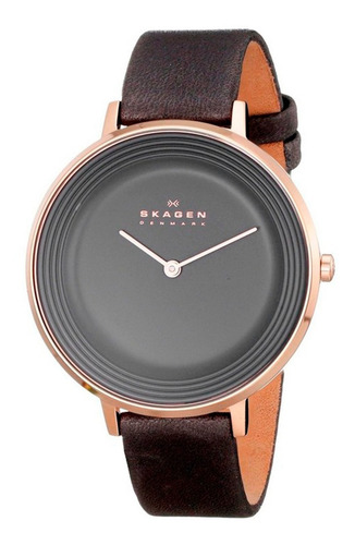 Relógio Skagen - Skw2216/2ci
