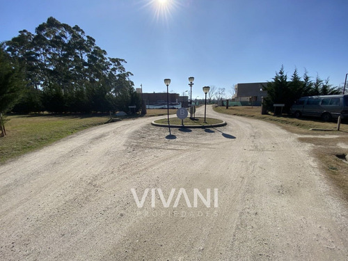 Imagen 12 de 14 de Venta Lote 176 E/ 48 Y 49 - Villa El Tala Berisso @vivanipro