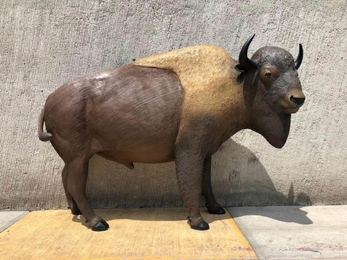 Animales Disecados 100% Artificiales Bisonte(búfaloamericano