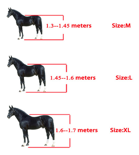 Imagen 6 de 10 de Caballo Campana Botas Piernas Delantero + Trasero Negro Xl