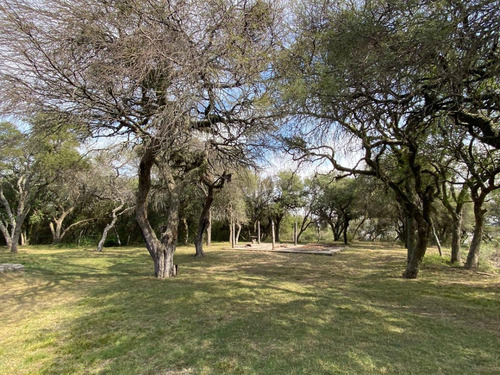 Arriendo /alquilo En Colonia Celina Entre Rios , Sobre El Rio 5 1/2 Hectareas