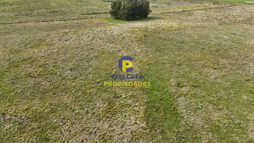 3 Hectáreas En Noya, Departamento De Canelones