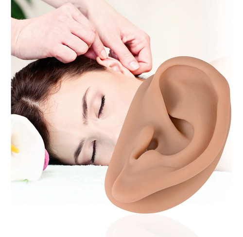 Modelo De Oído De Acupuntura, Réplica De Oído Artificial Izq