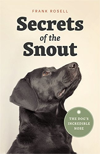 Secrets Of The Snout The Dogrs Incredible Nose