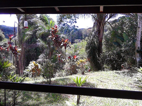 Imagem 21 de 22 de Chacara - Ch00024 - 33641904