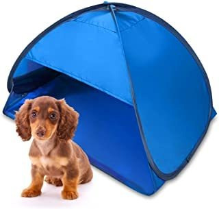 Liibot Mini Refugio Solar Para Refugio De Mascotas, Tienda P