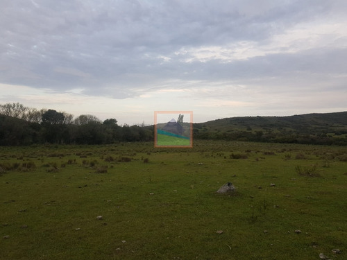 Imagen 7 de 14 de Campo Ganadero 60 Hás Sierras Del Carapé