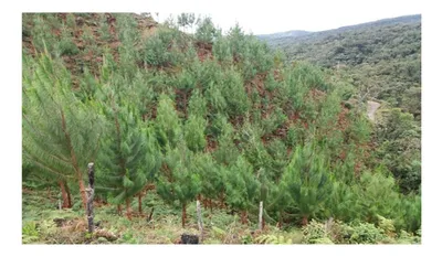 Finca en venta