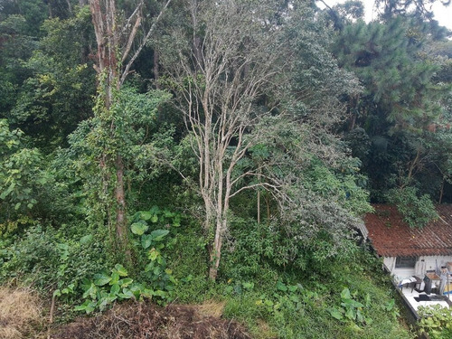 Imagem 4 de 28 de Vendo Chacara 9300m² Com Escritura Em Parelheiros (4262 )