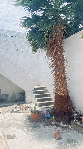 Casa Remodelada Muy Céntrica A Dos Cuadras Del Hospital Civil Muy Amplia