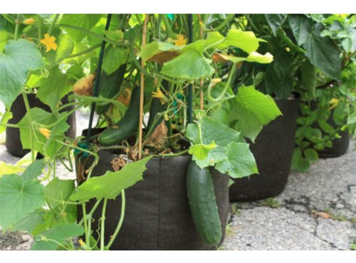 Smart Pots Smart Pot Recipiente De Doble Cara (5 Galones),