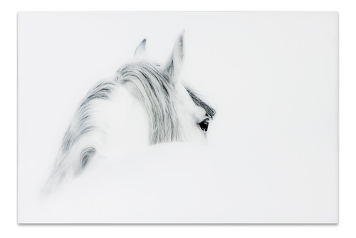 Empire Art Direct Blanco Mare Horse - Arte De Pared Grafico