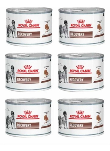 Recovery X 6 Latas Royal Canin
