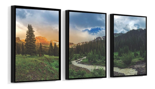 3 Quadros Decorativos 30x40 Moldura Paisagem Floresta Árvore