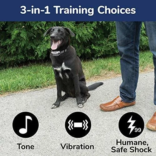 Free spirit hotsell dog training collar