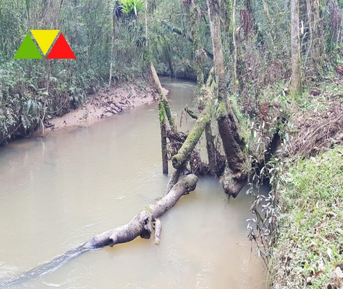 Imagem 27 de 30 de Chácara Em Cai De Baixo - Ch00088 - 34982990